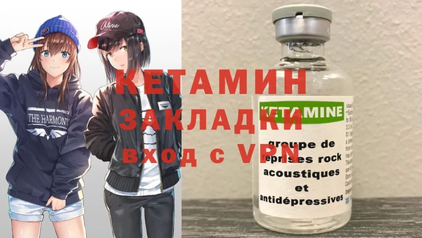 шишки Нея