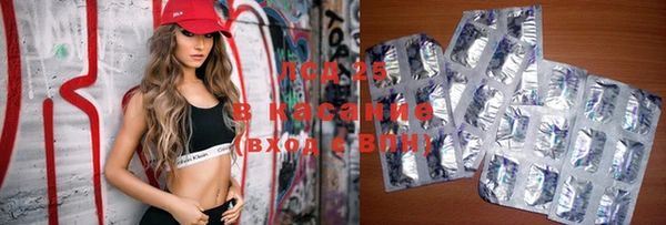 шишки Нея