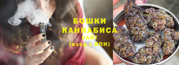 шишки Нея