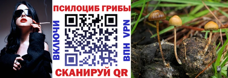 Псилоцибиновые грибы прущие грибы  Пласт 